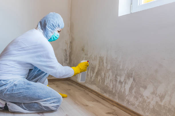 Licensed Mold Remediation service in Erwin, NC - 24 Hour Mold Removal