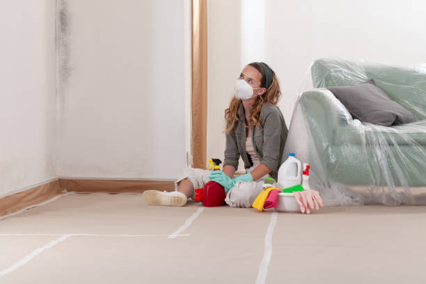 Reliable Mold Remediation contractor in Erwin, NC by 24 Hour Mold Removal